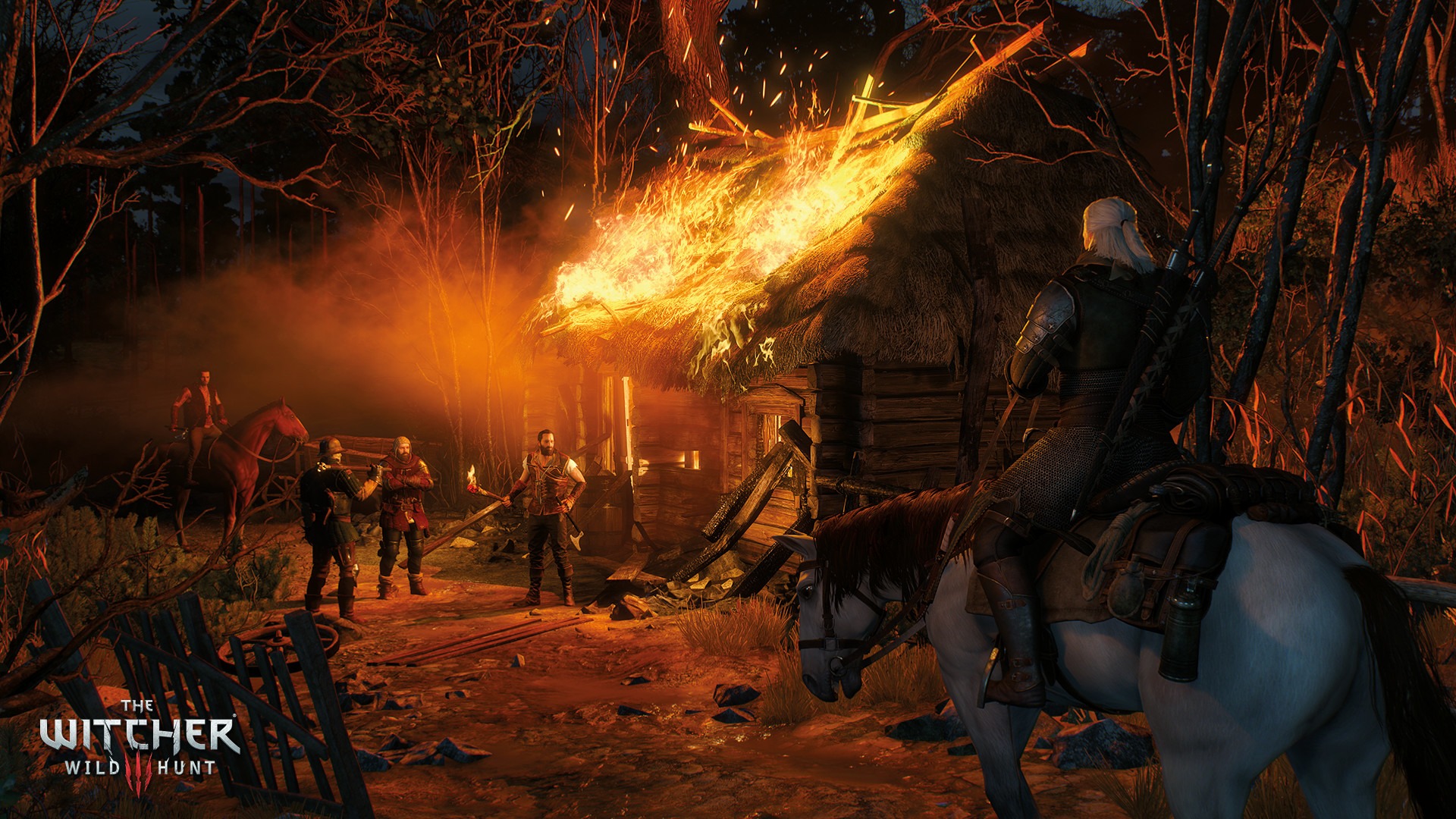 The Witcher 3: Wild Hunt screenshot 8