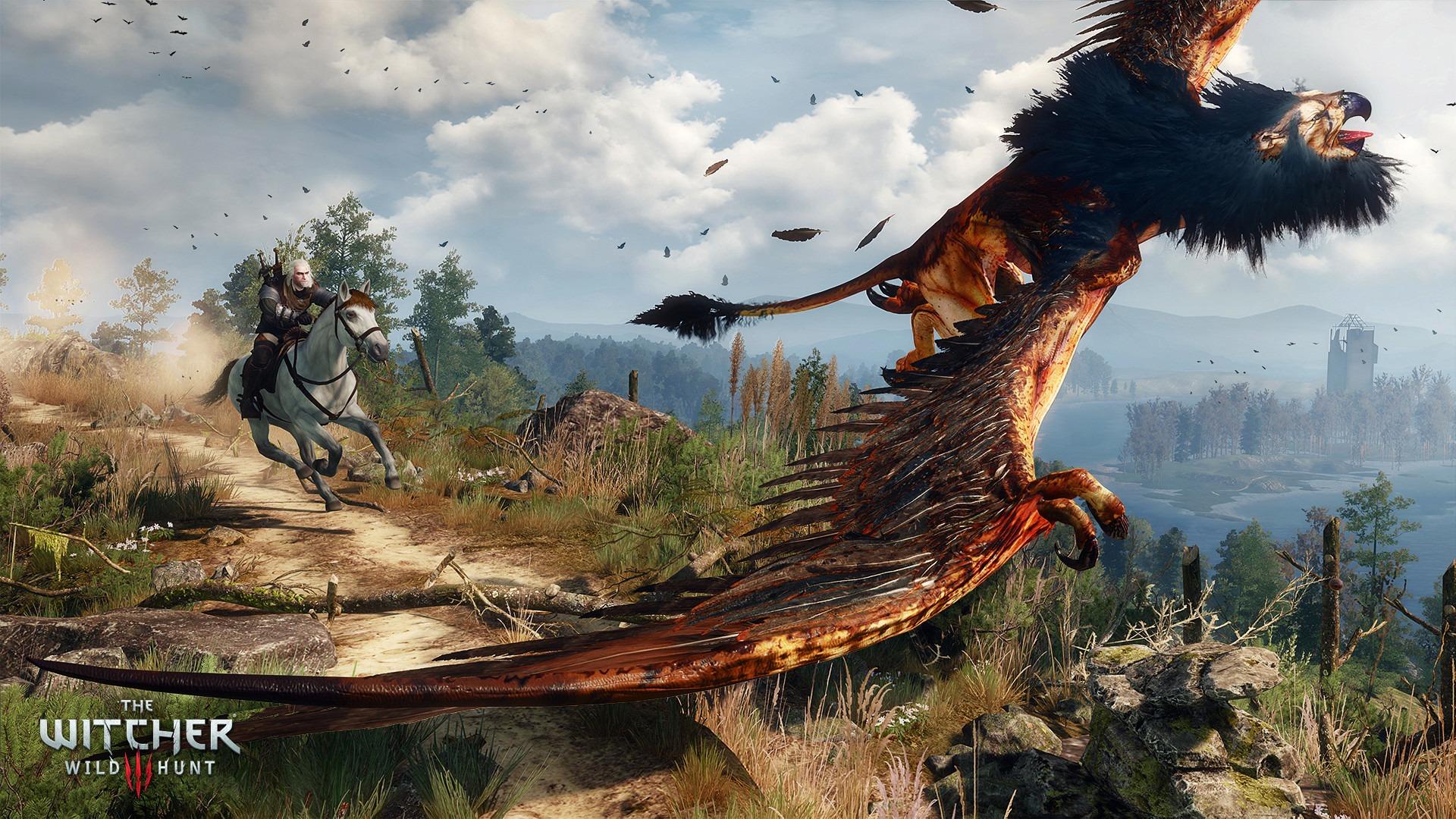 The Witcher 3: Wild Hunt screenshot 5